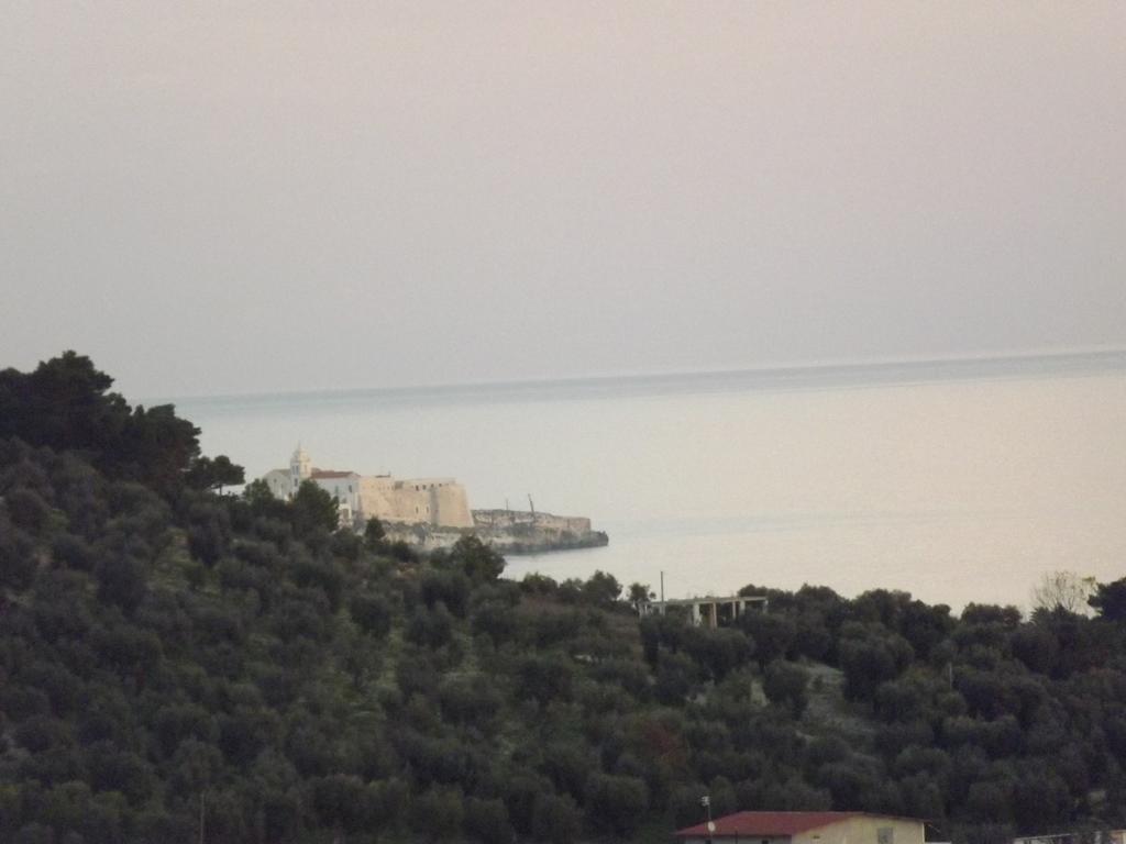 Aparthotel Residenza Collina Dei Pini à Vieste Extérieur photo